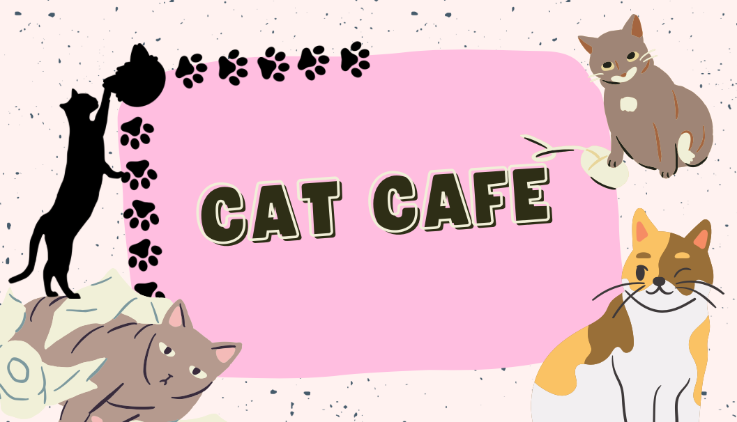 Cat Café @ Cashmere