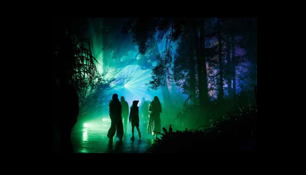 Lightscape